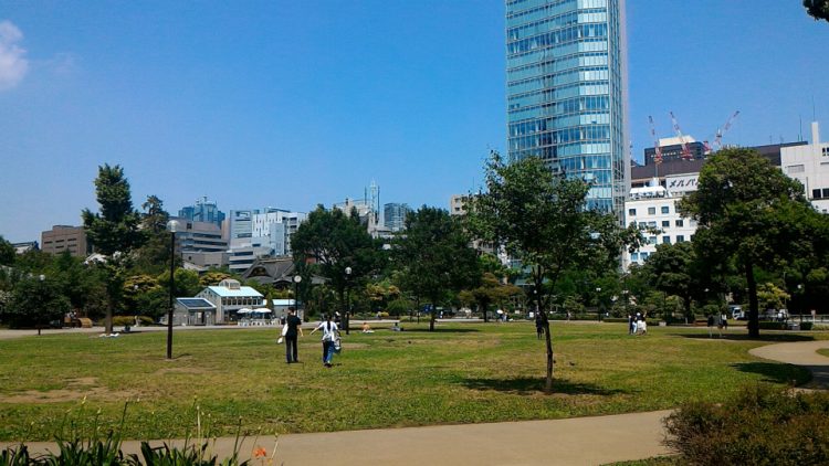 東京都港区芝公園の芝生広場